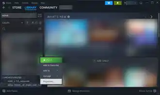 Steam entry properties